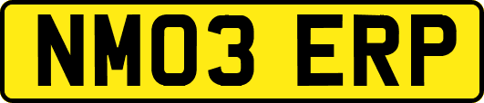NM03ERP