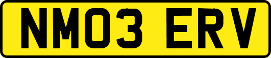 NM03ERV