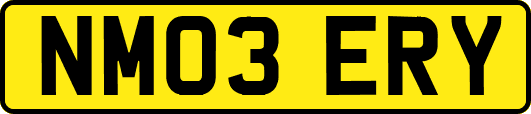 NM03ERY