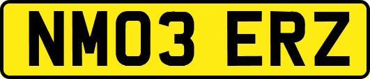 NM03ERZ