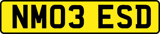 NM03ESD