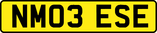 NM03ESE