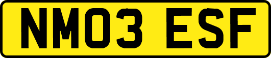 NM03ESF