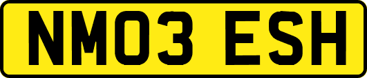 NM03ESH