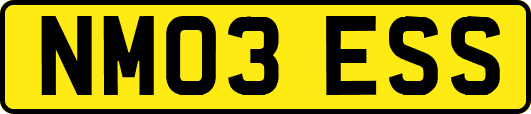 NM03ESS