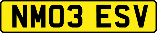 NM03ESV
