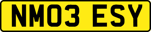 NM03ESY