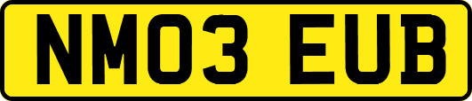 NM03EUB
