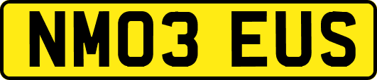 NM03EUS