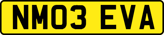 NM03EVA