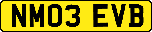 NM03EVB