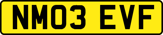 NM03EVF