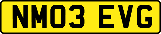 NM03EVG