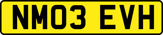 NM03EVH