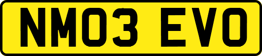 NM03EVO