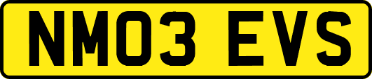 NM03EVS