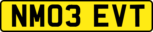 NM03EVT