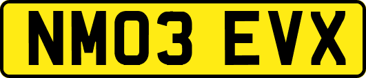 NM03EVX