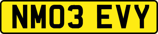 NM03EVY