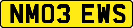 NM03EWS