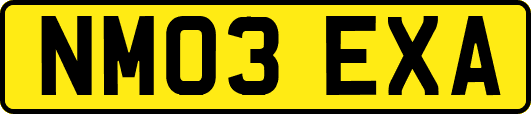 NM03EXA