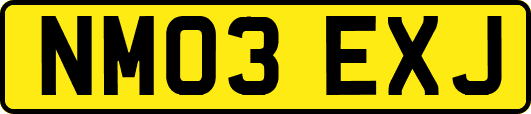 NM03EXJ