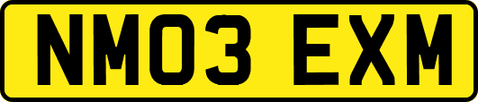 NM03EXM