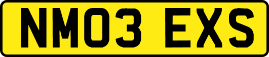 NM03EXS