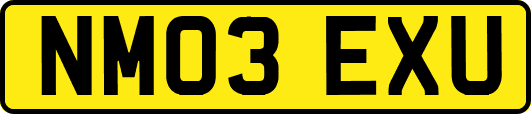 NM03EXU