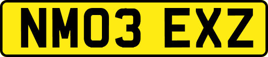 NM03EXZ
