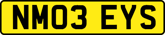 NM03EYS