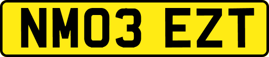NM03EZT
