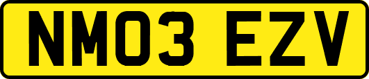 NM03EZV