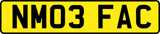 NM03FAC