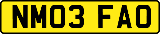 NM03FAO