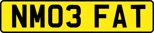 NM03FAT