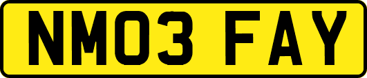 NM03FAY