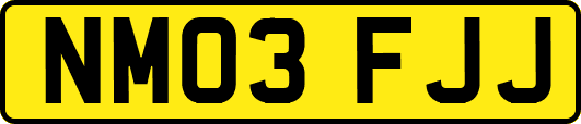 NM03FJJ
