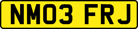 NM03FRJ