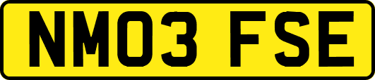 NM03FSE