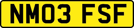 NM03FSF