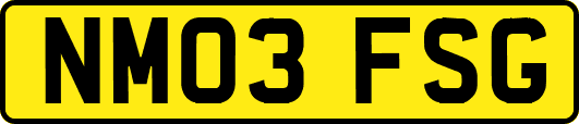 NM03FSG