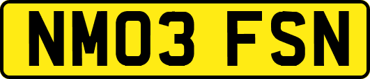 NM03FSN