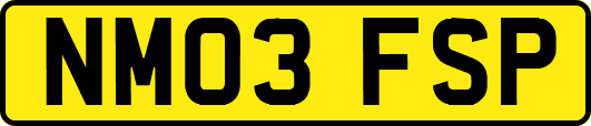 NM03FSP