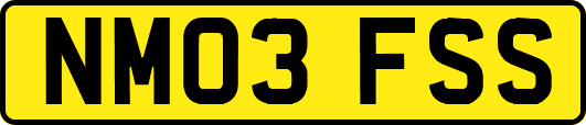 NM03FSS