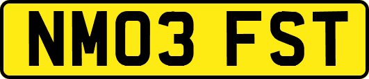 NM03FST