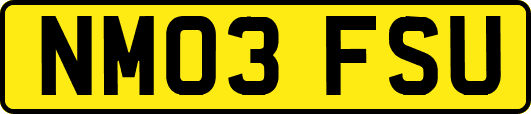 NM03FSU