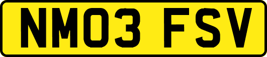 NM03FSV