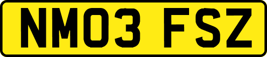 NM03FSZ