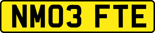 NM03FTE